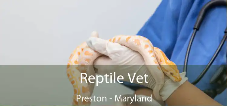 Reptile Vet Preston - Maryland