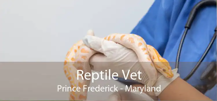 Reptile Vet Prince Frederick - Maryland