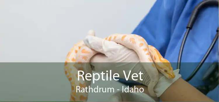 Reptile Vet Rathdrum - Idaho