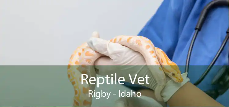 Reptile Vet Rigby - Idaho