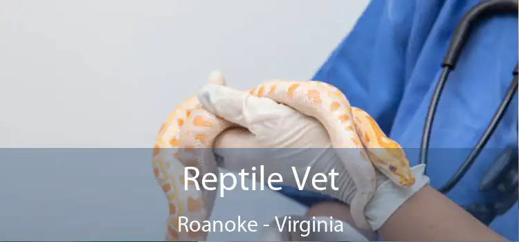 Reptile Vet Roanoke - Virginia