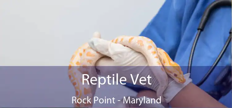 Reptile Vet Rock Point - Maryland