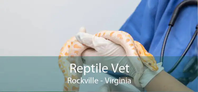 Reptile Vet Rockville - Virginia