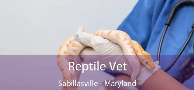 Reptile Vet Sabillasville - Maryland