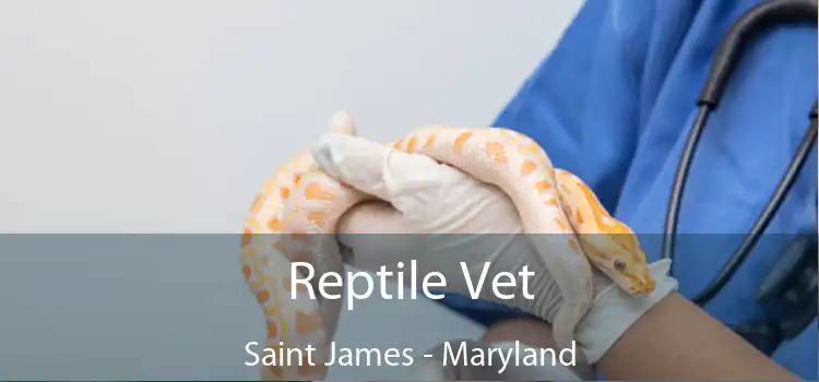 Reptile Vet Saint James - Maryland