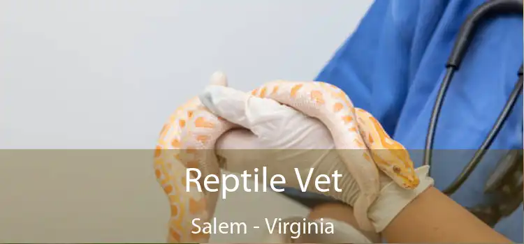 Reptile Vet Salem - Virginia