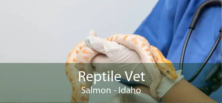 Reptile Vet Salmon - Idaho