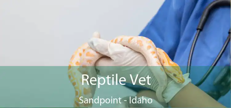 Reptile Vet Sandpoint - Idaho