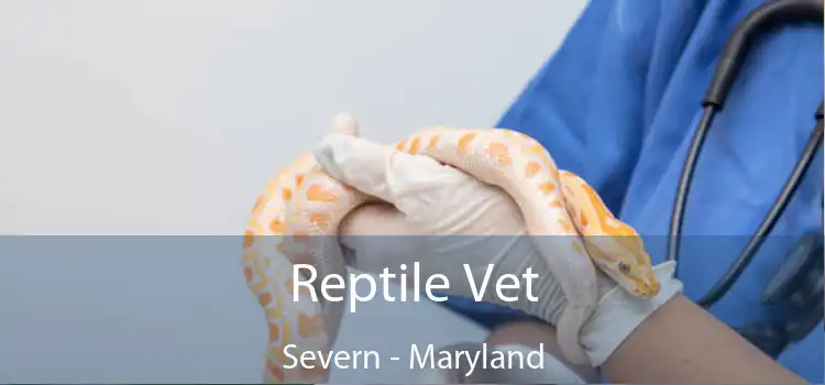 Reptile Vet Severn - Maryland
