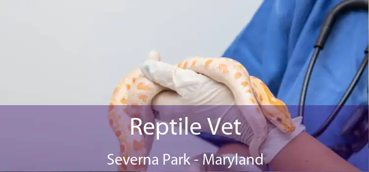 Reptile Vet Severna Park - Maryland