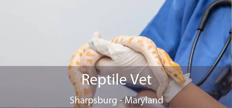 Reptile Vet Sharpsburg - Maryland