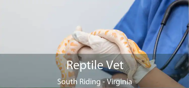 Reptile Vet South Riding - Virginia