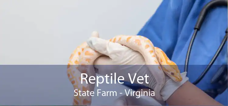 Reptile Vet State Farm - Virginia