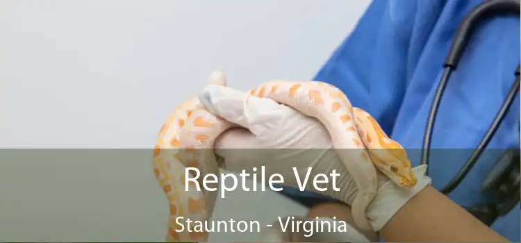 Reptile Vet Staunton - Virginia