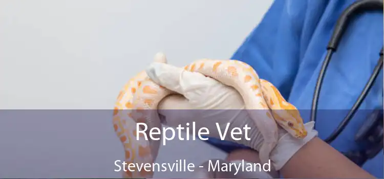 Reptile Vet Stevensville - Maryland