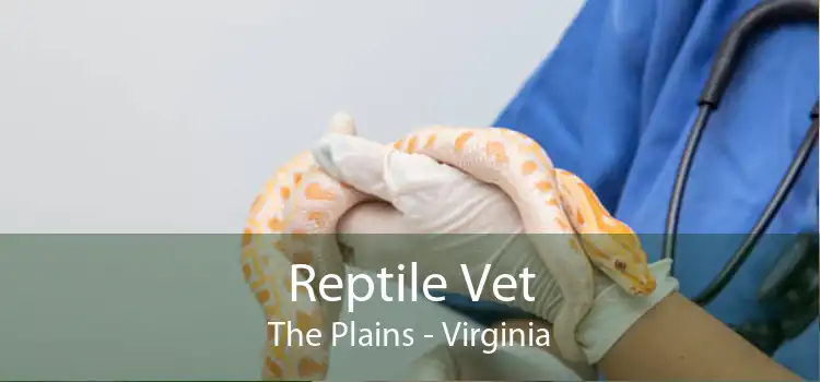 Reptile Vet The Plains - Virginia
