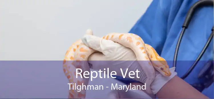 Reptile Vet Tilghman - Maryland