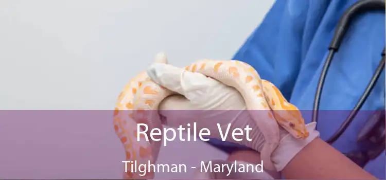 Reptile Vet Tilghman - Maryland