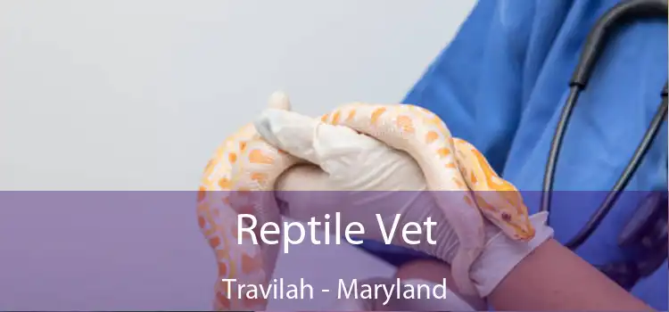 Reptile Vet Travilah - Maryland