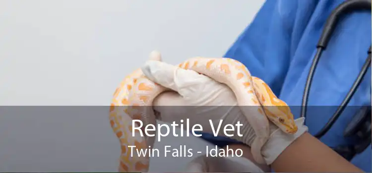 Reptile Vet Twin Falls - Idaho