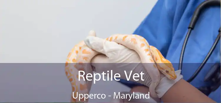 Reptile Vet Upperco - Maryland