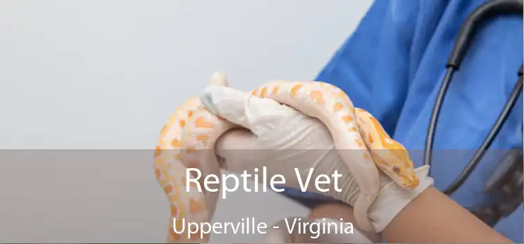 Reptile Vet Upperville - Virginia