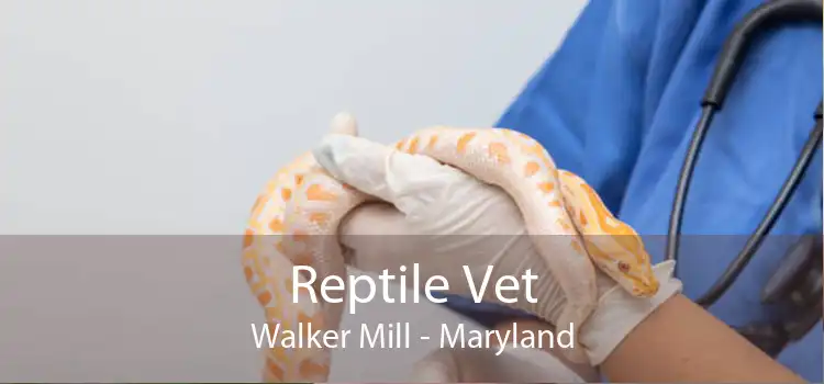 Reptile Vet Walker Mill - Maryland
