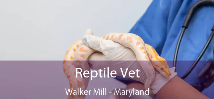 Reptile Vet Walker Mill - Maryland
