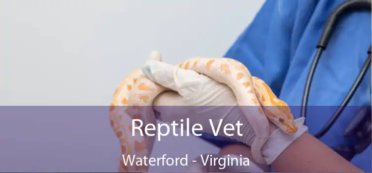 Reptile Vet Waterford - Virginia