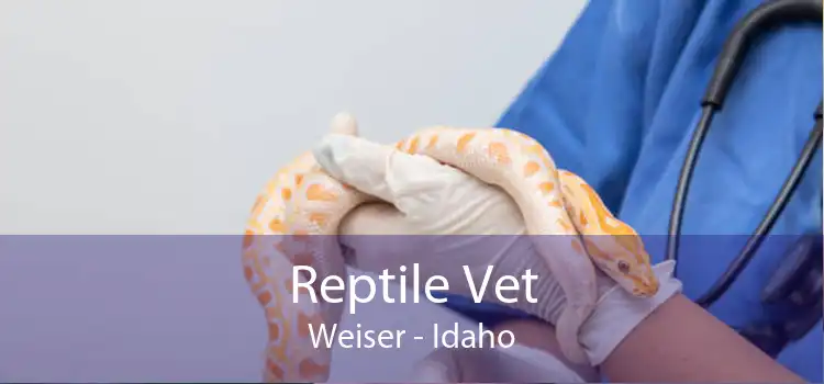 Reptile Vet Weiser - Idaho