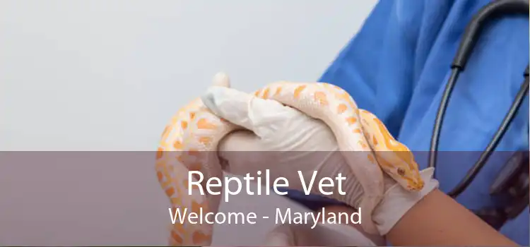 Reptile Vet Welcome - Maryland