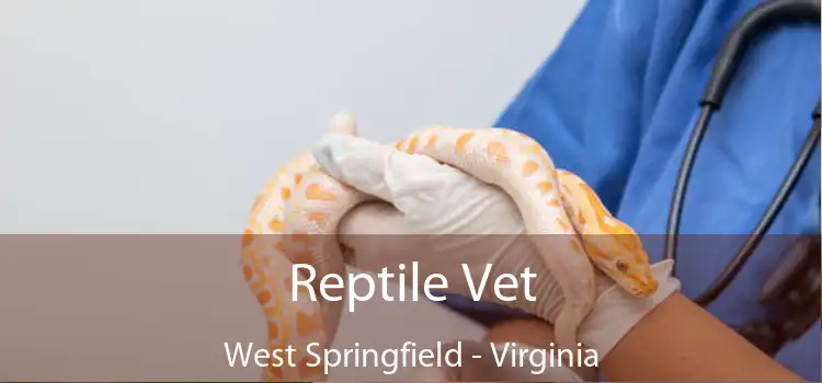 Reptile Vet West Springfield - Virginia