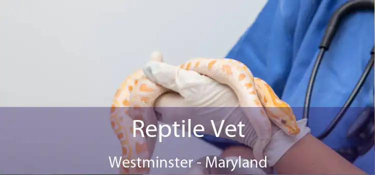 Reptile Vet Westminster - Maryland