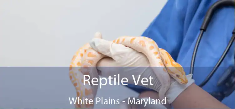 Reptile Vet White Plains - Maryland