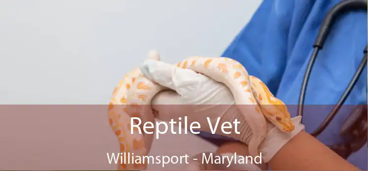 Reptile Vet Williamsport - Maryland