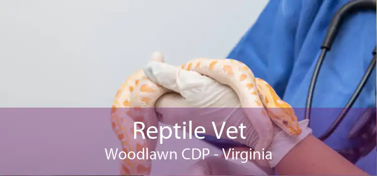 Reptile Vet Woodlawn CDP - Virginia