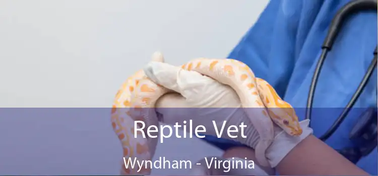 Reptile Vet Wyndham - Virginia