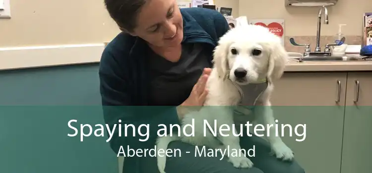 Spaying and Neutering Aberdeen - Maryland