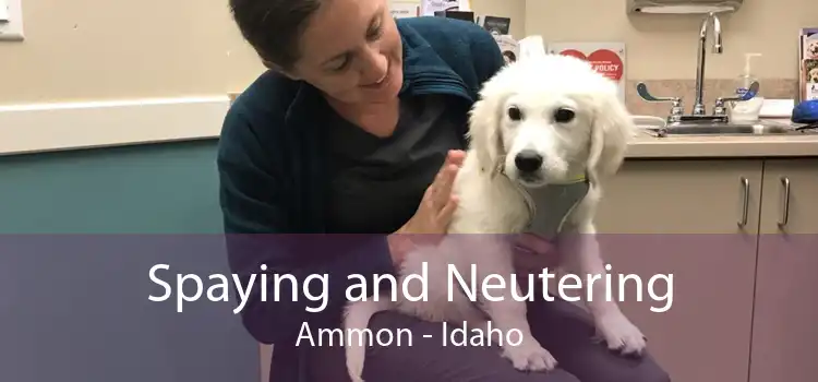 Spaying and Neutering Ammon - Idaho