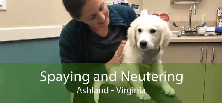 Spaying and Neutering Ashland - Virginia