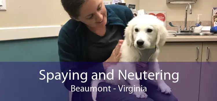 Spaying and Neutering Beaumont - Virginia