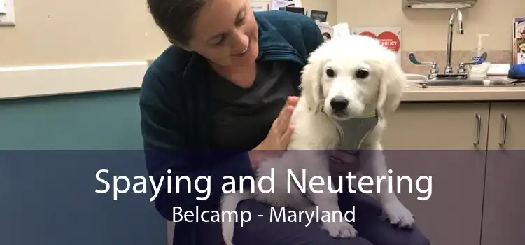Spaying and Neutering Belcamp - Maryland