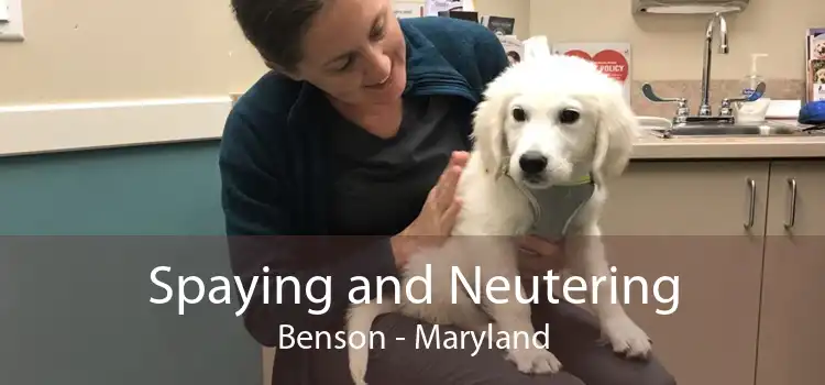 Spaying and Neutering Benson - Maryland
