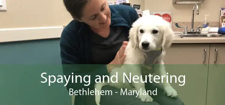 Spaying and Neutering Bethlehem - Maryland