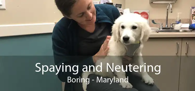 Spaying and Neutering Boring - Maryland
