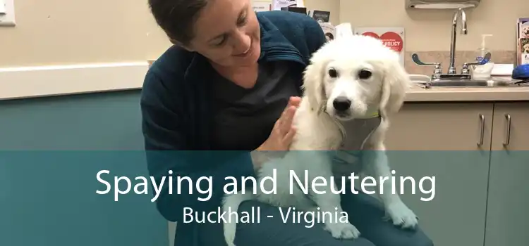 Spaying and Neutering Buckhall - Virginia
