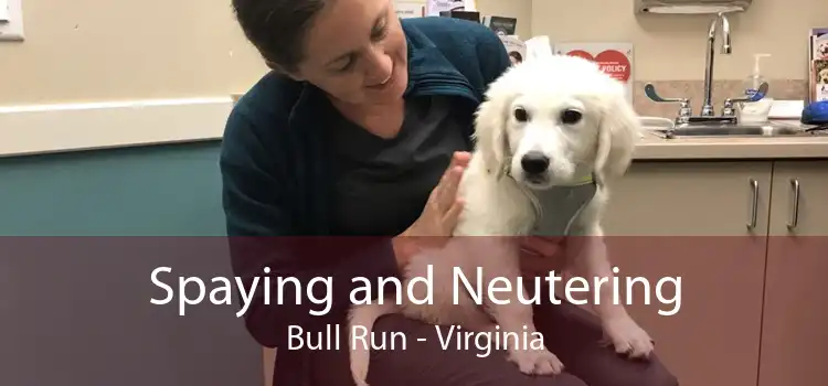 Spaying and Neutering Bull Run - Virginia