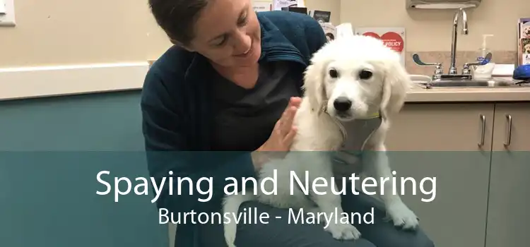 Spaying and Neutering Burtonsville - Maryland