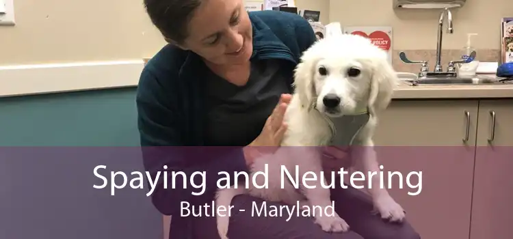 Spaying and Neutering Butler - Maryland
