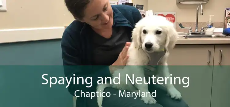 Spaying and Neutering Chaptico - Maryland